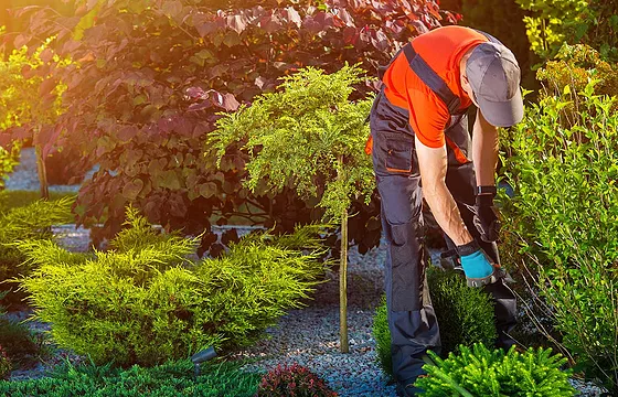 Landscaping - Services